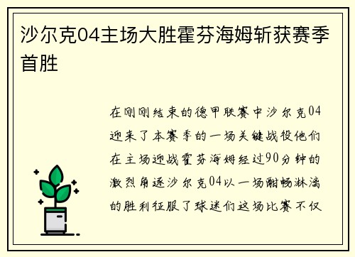 沙尔克04主场大胜霍芬海姆斩获赛季首胜